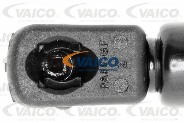 Gas Spring, boot/cargo area