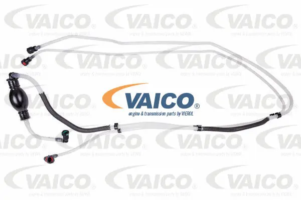 Fuel Line