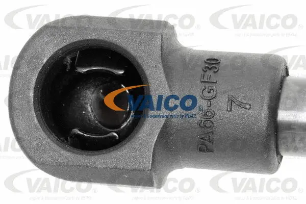 Gas Spring, boot/cargo area