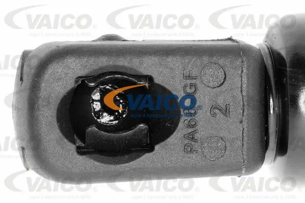 Gas Spring, boot/cargo area