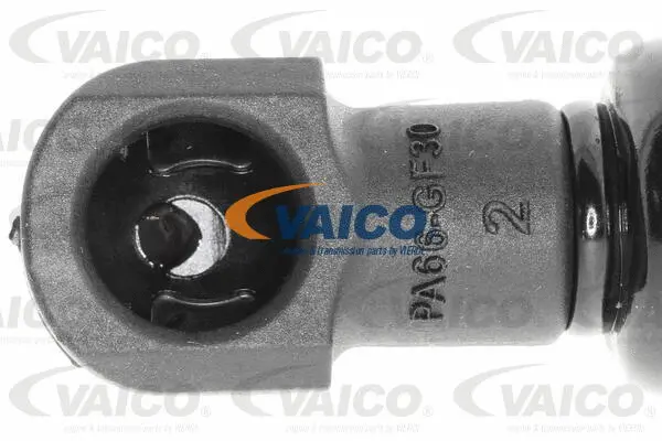 Gas Spring, boot/cargo area