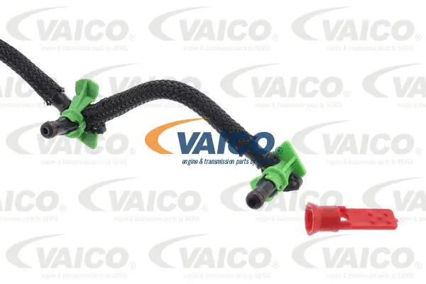 Hose, fuel overflow