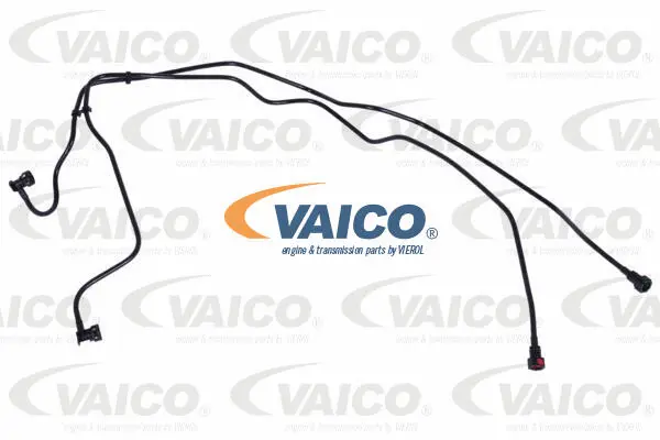 Fuel Line