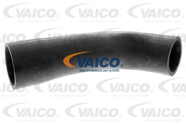 Charge Air Hose