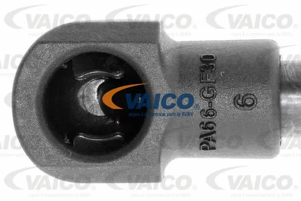 Gas Spring, boot/cargo area