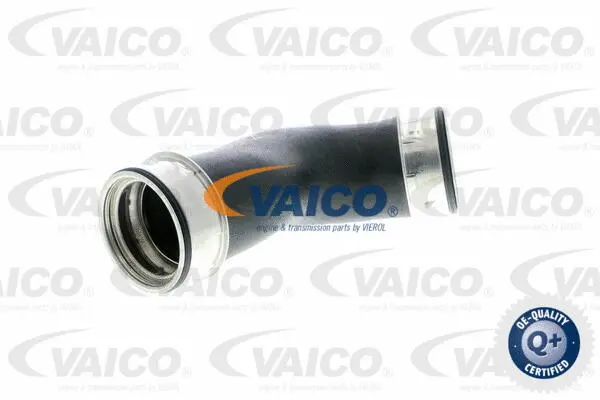 Charge Air Hose