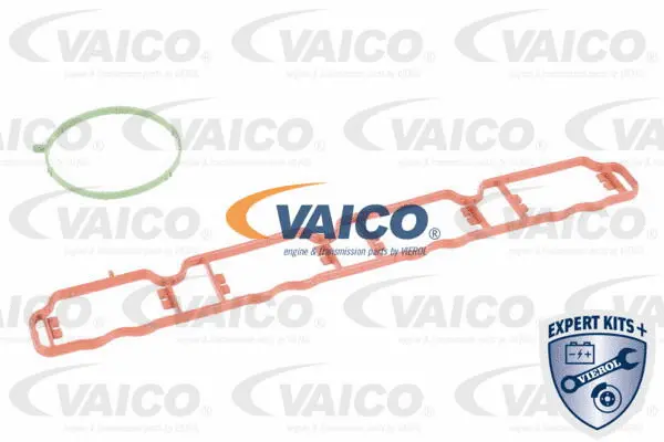 Intake Manifold Module