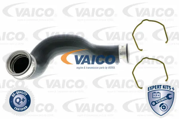 Charge Air Hose