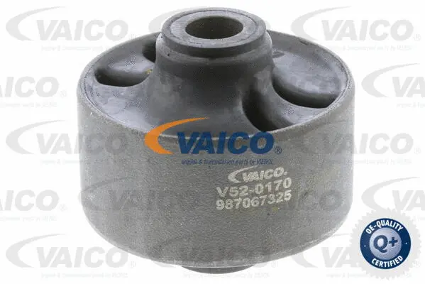 Mounting, control/trailing arm