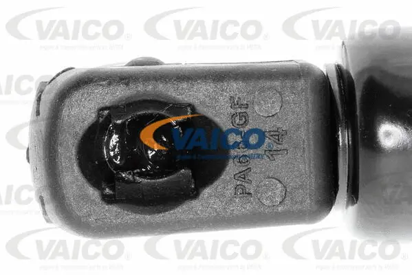 Gas Spring, boot/cargo area