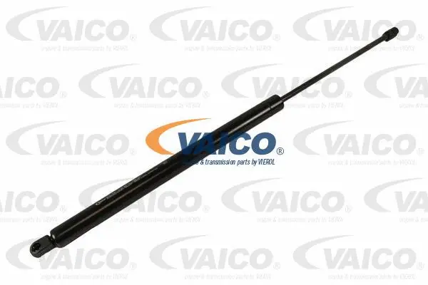 Gas Spring, boot/cargo area