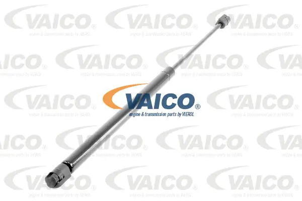 Gas Spring, boot/cargo area