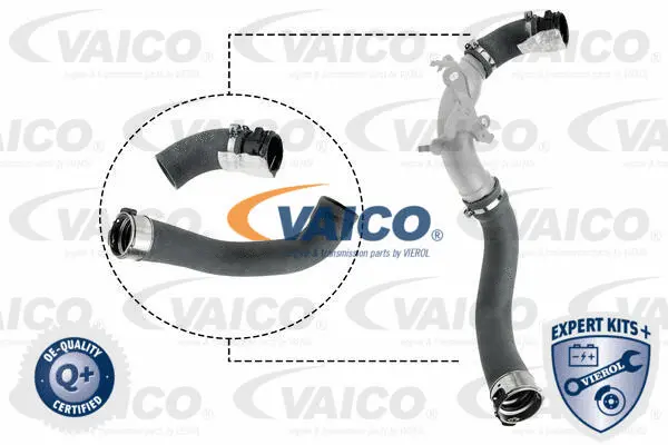 Charge Air Hose