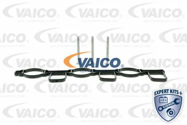 Intake Manifold Module