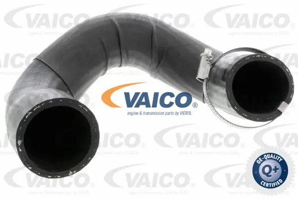 Charge Air Hose