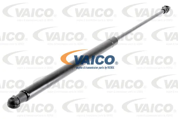 Gas Spring, boot/cargo area