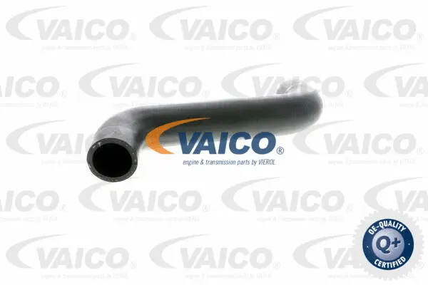 Charge Air Hose