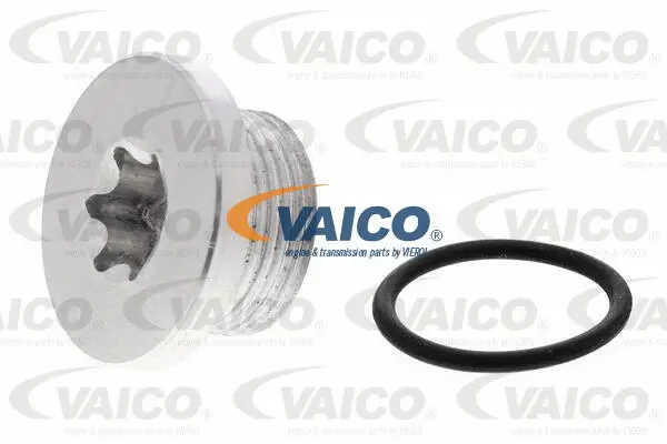 Screw Plug, transmission housing