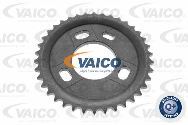 Gear/Sprocket, camshaft
