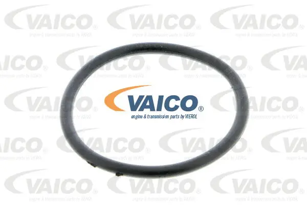 Coolant Flange