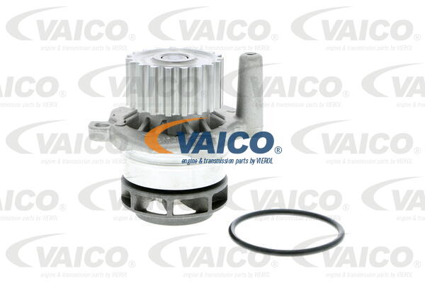 Water Pump & Timing Belt Kit