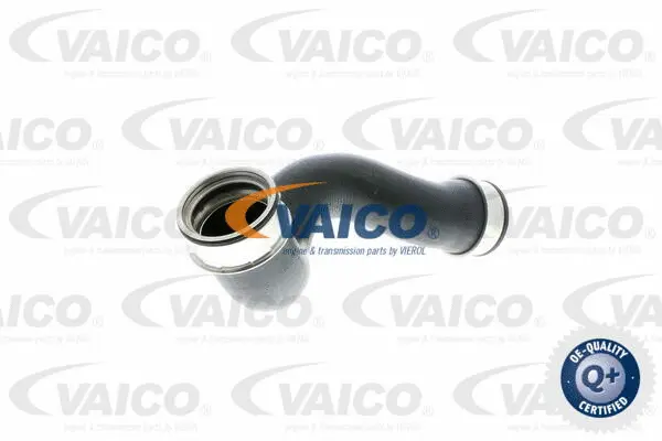 Charge Air Hose
