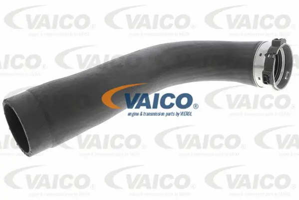 Charge Air Hose