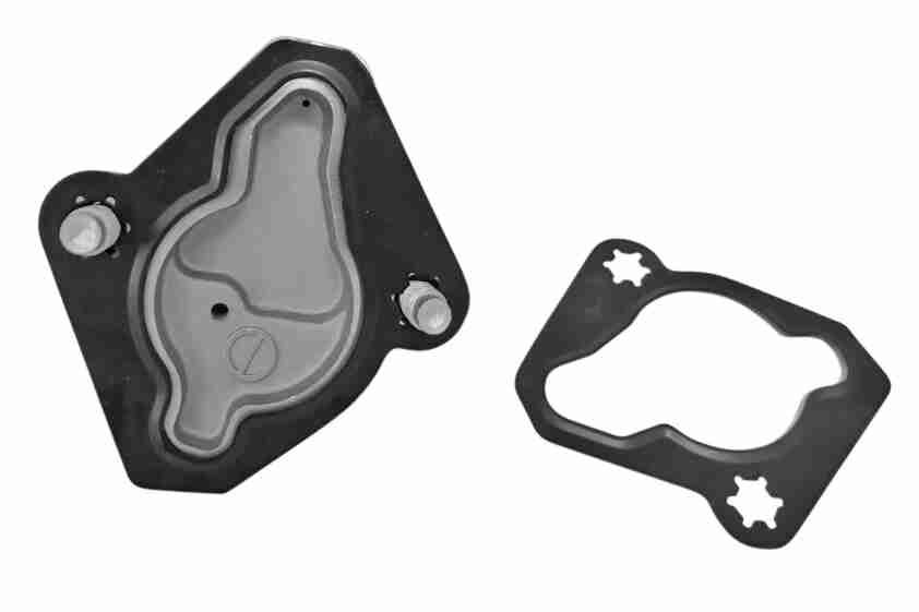 Tensioner, timing chain