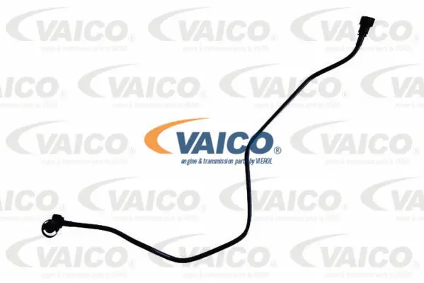 Fuel Line
