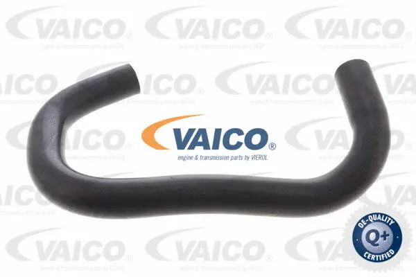 Hose, crankcase ventilation