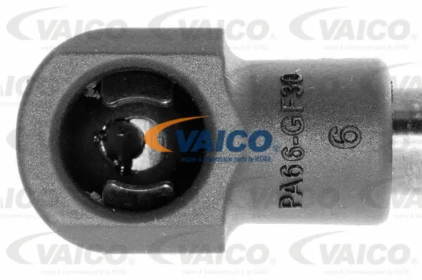 Gas Spring, boot/cargo area