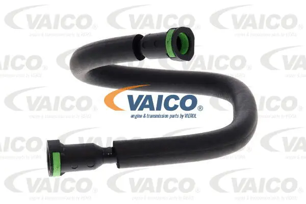 Fuel Line