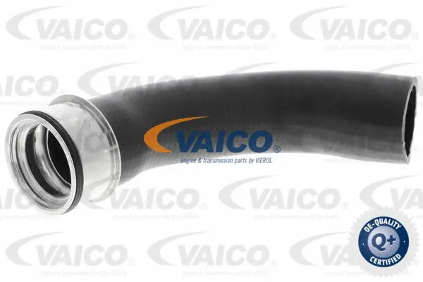 Charge Air Hose