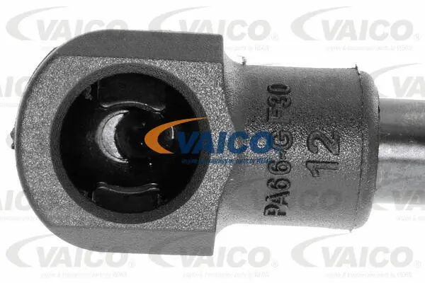 Gas Spring, boot/cargo area