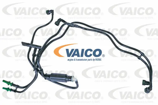 Fuel Line