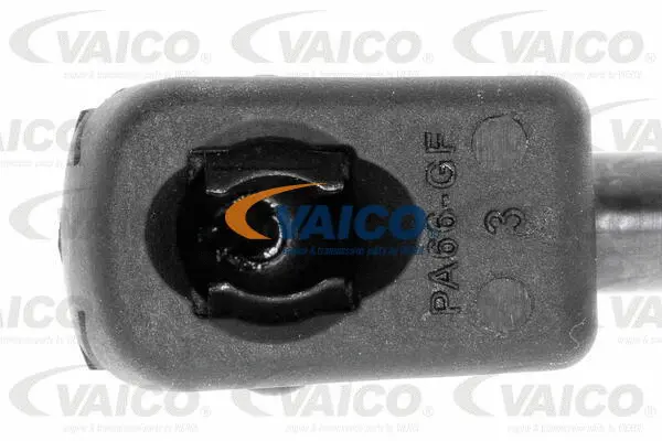 Gas Spring, boot/cargo area