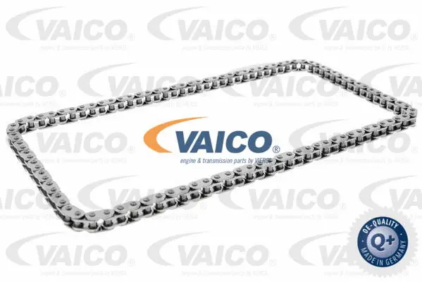 Chain, oil pump drive