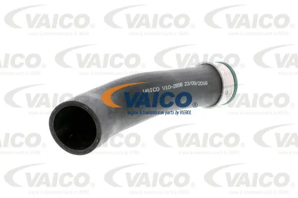 Charge Air Hose