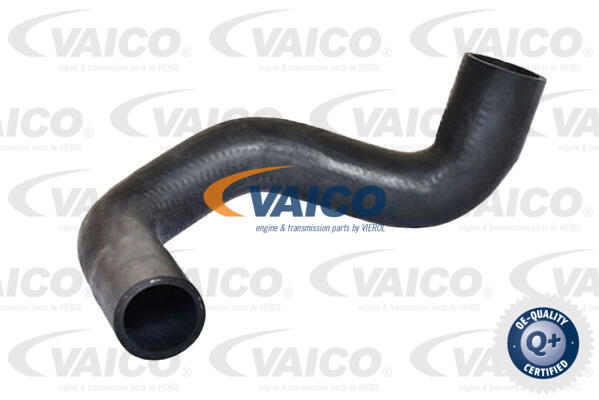 Charge Air Hose