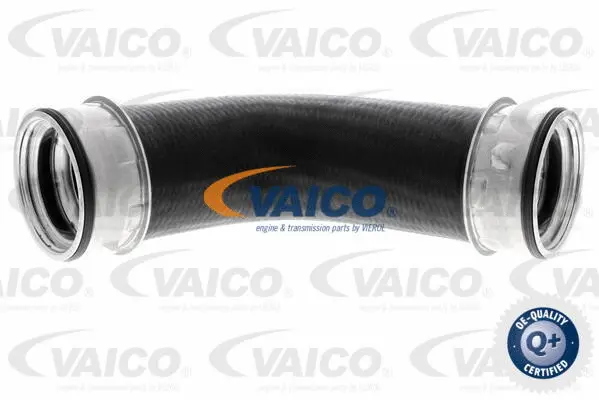 Charge Air Hose