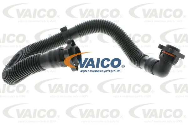 Hose, crankcase ventilation