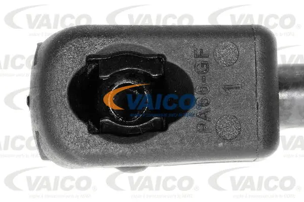 Gas Spring, boot/cargo area