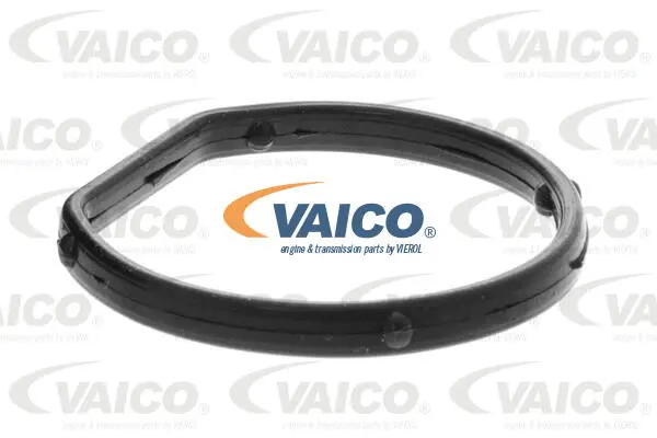 Coolant Flange