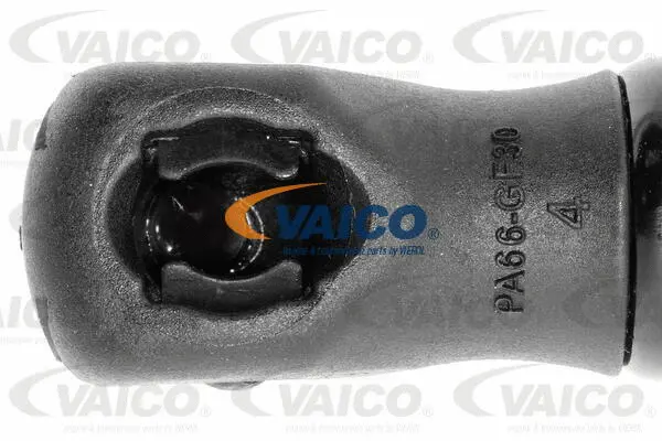 Gas Spring, boot/cargo area