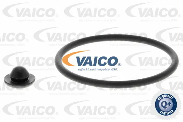 Central Magnet, camshaft adjustment