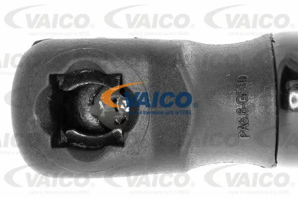 Gas Spring, boot/cargo area