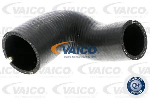 Charge Air Hose