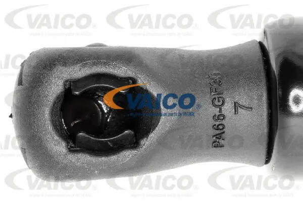 Gas Spring, boot/cargo area