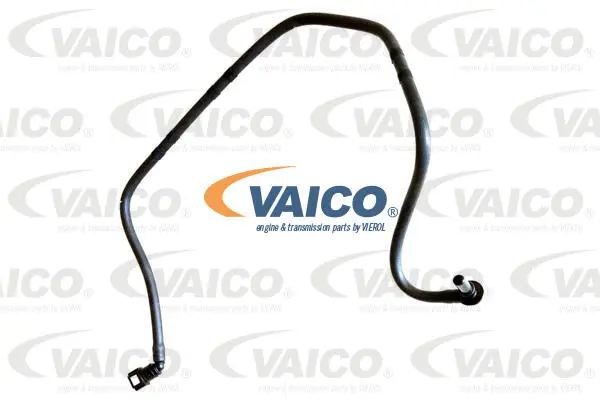 Fuel Line