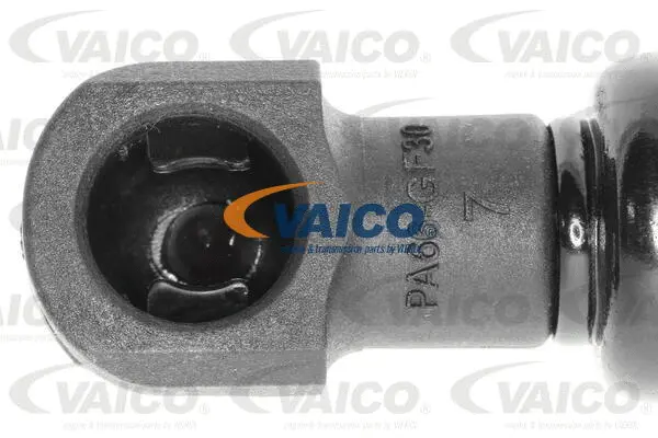 Gas Spring, boot/cargo area